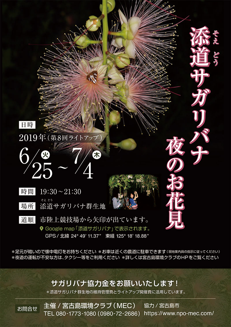 今年の添道サガリバナ 夜のお花見は6月25日 7月4日まで 宮古島経済新聞